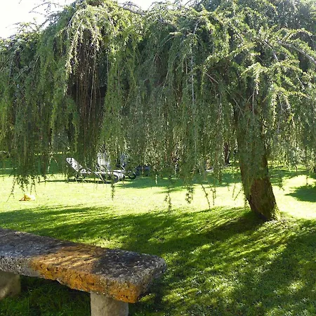 House Martina * Belluno